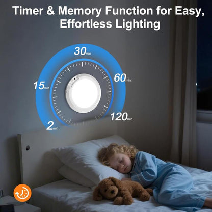 Vedere Rechargeable Motion Sensor Ceiling Light